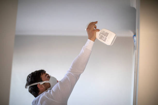 Mold Removal Process in Chenoweth, OR