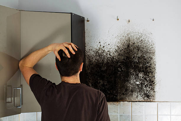 Best Mold Removal Process  in Chenoweth, OR